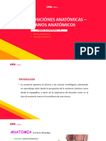 S01-Síncrono - T1. Posiciones y Planos Anatómicos