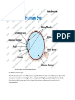 Human Eye 10th