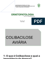 Colibacilose Aviária