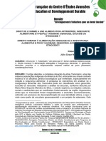 Direito Humano À Alimentação Adequada e A Insegurança Alimentar e o Povo Yanomami