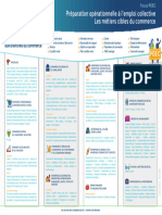 Infographie Poec Métiers Cibles Commerce