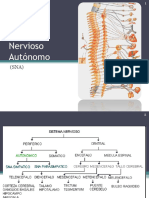 Sistema Nervioso - SNA (Res) - SHORT