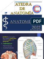 5 Generalidades - Torax