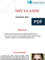 2 Salivary Gland (1) - 2