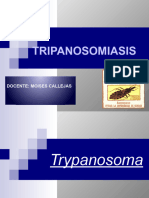 Cap. 12 Tripanosomiasis - Enf. de Chagas