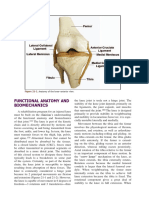 Functional Anatomy and Biomechanics - Knee