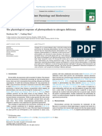 The Physiological Response of Photosynthesis To Nitrogen Deficiency