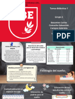 Tarea Didáctica 1 - Grupo2 - El Sueño - Compressed