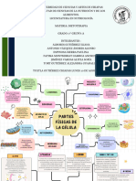 Funcionamiento Celular y Nutrición .pdf-1