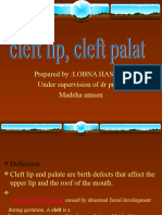 Cleft Lip and Cleft Palate - 2