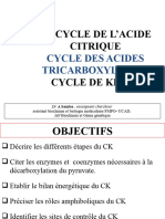 Le Cycle de L'acide Citrique