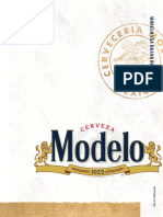 Modelo 2020