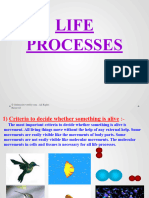 Life Processes, Class 10