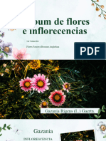 Album Flores e Inflorecencias (Anghelina Flores Fonseca)