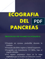 Pancreas