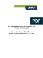 Ensayo La Direccion de Proyectos y Sus Principale Problemas