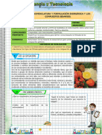 A-3º Act 1 Cyt Und 4 - Sem 1