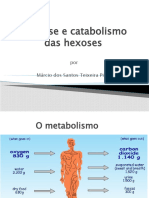 Glicólise e Metabolismo Das Hexoses e Ciclo de Krebs