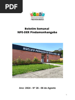 26-2024 Boletim Semanal NPE-DER Pinda