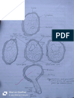 Lab Manual Bio