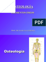 02 Osteología