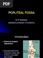 Popliteal Fossa: Dr.P.Sasikala, Assistant Professor of Anatomy