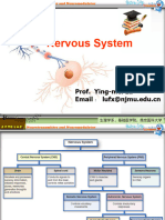 1-2 Neuron Generation