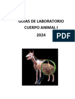 Guia Cuerpo Animal I 2024