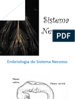 02 - Embriol Do Sist Nerv Inrodução SN e Medula - Psicopdf