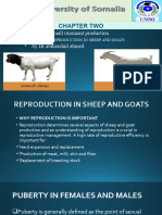 Chapter Two: - Course: Small Ruminant Production - Lecture: - by DR Abdirashid Ahmed