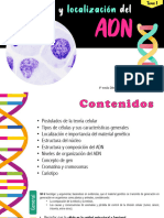 Tema 1 - U1 - Estructura y Localización Del ADN