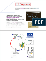 11) Oxyurose