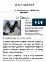 El Condor