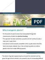 Transgenic Plants