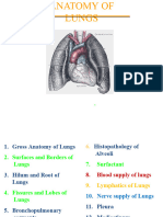 Lungs PDF