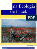 Jesus Na Ecologia de Israel