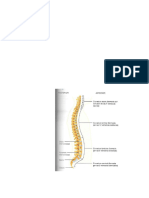 Columna Breve Introducción Teórica y Actividades