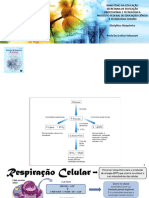 11 - Ciclo de Krebs, Fosforilação Oxidativa e Cadeia Transportadora de Elétrons