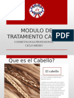 Modulo de Tratamiento Capilar