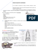 Aparato Digestivo Comparado