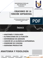 Alteraciones de La Funcion Suprarenal-1