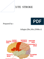 Acute Stroke Eccn