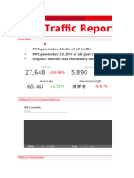 Website Paid Traffic Report