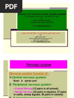 Diseases of Nervous System of Farm Animals by Ali Sadiek