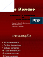 Anatomia e Fisiologia Do Olho Humano