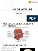 Musculos Axiales