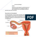 Escrito de Biología