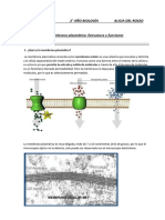 Membrana Plasmática Y Transporte de Sustancias