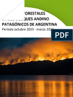 6a31eca9 Incendios Forestales en Los Bosques Andino Patagonicos 2023 2024