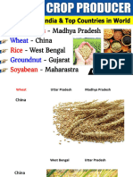 Crop Producer India & World